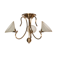 Ceiling lamps НСБ 05-3х60-032 Art. 05,3,2 