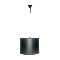 Pendant lamps НСБ 40-1х60-015 Art. 40.1.5 