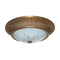 Ceiling lamps НПБ 84-2х60-122 4246 Art. 84,2,2-4246 