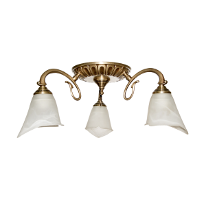 Ceiling lamps НСБ 08-3х60-032 Art. 08,3,2 